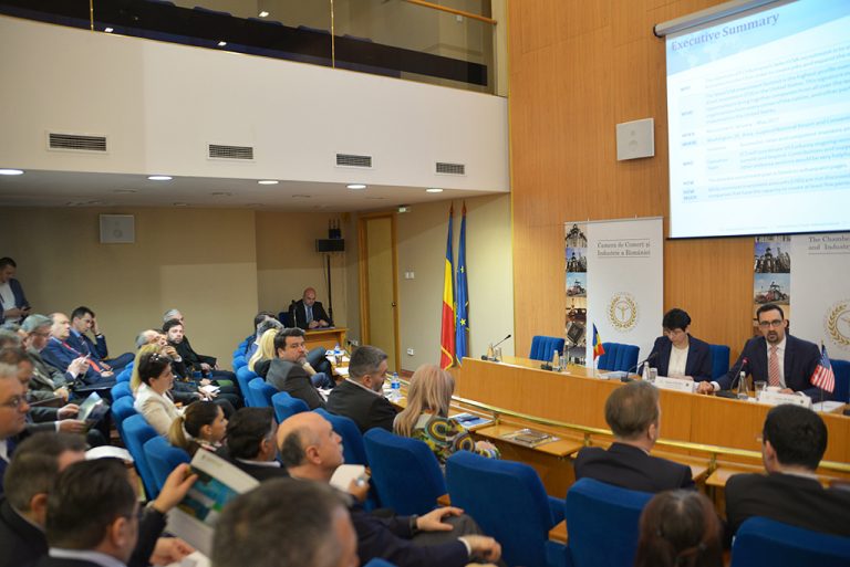 Modalități și oportunități pentru companiile românești de a investi pe p...