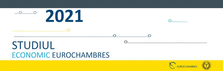 eurochambres chestionar 2021 - ro