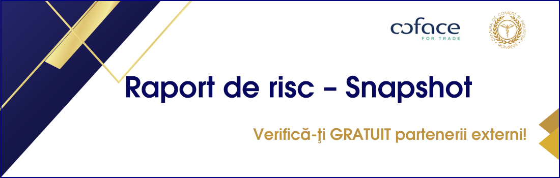 banner-Snapshot